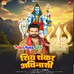 Shiv Shankar Avinashi (Ritesh Pandey)