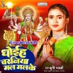 Dhoihe Charaniya Mal Mal Ke (Shristi Bharti)