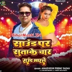Sound Par Sutake Char Round Maar Le (Awdesh Premi Yadav)