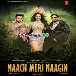 Naach Meri Naagin (Neelkamal Singh,Paradox,Simar Kaur)
