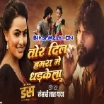 Tor Dil Hamara Me Dhadkela Full Video Song