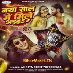 Naya Saal Me Mile Aiha (Amrita Dixit)