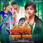 Chiniya Badam Lagele (Shivani Singh)