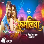Raja Jaan Mare Rumaliya Me Has Ke Video Song (720p HD)