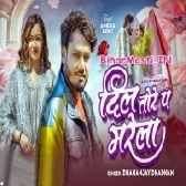 Dil Tora Pa Marela (Dhananjay Dhadkan)