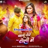 Babu Tere Toli Me (Shilpi Raj)