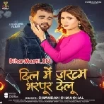 Dil Me Jakham Bharpur Delu (Chandan Chanchal)