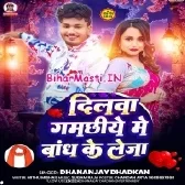 Dilwa Gamachiye Me Bandh Ke Le Ja (Dhananjay Dhadkan)