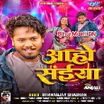 Aaho Saiya (Dhananjay Dhadkan)