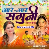 Aare Aare Saguni (Anu Dubey)