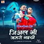 Jiyal Bhi Jaruri Naikhe (Dhananjay Dhadkan)