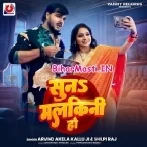 Dali Nimak Dalalu Sabji Me Chini Ho-(BiharMasti.In.Net)