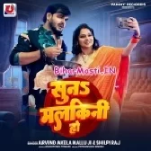 Dali Nimak Dalalu Sabji Me Chini Ho