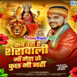Sab Tera Hai Sherawali Maa Mera To Kuch Bhi Nhi