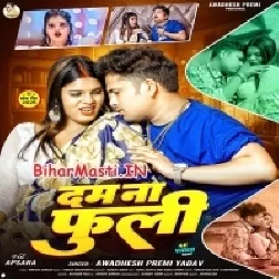Dam Na Fuli Ae Raja