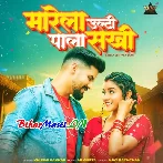 Jab Marela Ulti Pala Sakhi