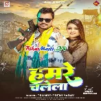 Har Jila Har Gaaon Me Hamare Chalela (Hit Matter)