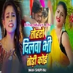 Aawa Likh Ke Dedi Pana Pa Tohro Dilwa Di Todi Koi