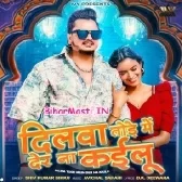 Dilwa Tode Me Der Na Kailu