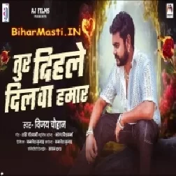 Tur Dihale Dilwa Hamar Re Pagali