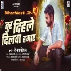 Tur Dihale Dilwa Hamar Re Pagali