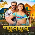 Bagaiche Me Bulbul Bichhai Da Odhaniya (Hit Matter)