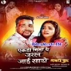 Ek Hi Chita Pe Jaral Jaai Sathe