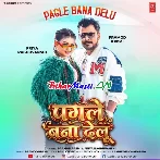 Ae Rani Ho Tu Pagle Bana Delu